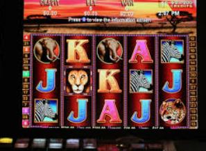 女王赏金赚钱app入口电脑免费版